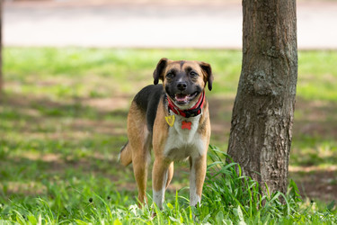 Similar image 22079358