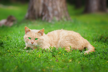 Similar image 22079361