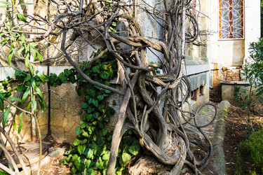 Similar image 22077470