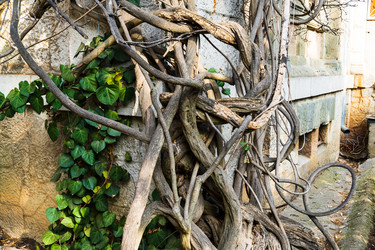 Similar image 22077215