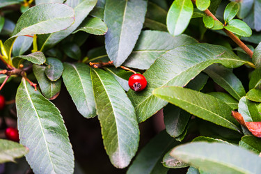 Similar image 22079843