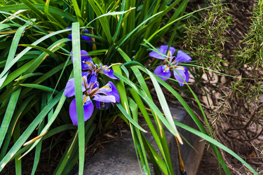 Similar image 22079847