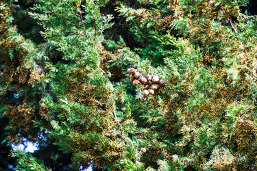 Similar image 22081157