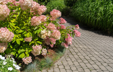 Similar image 22077164