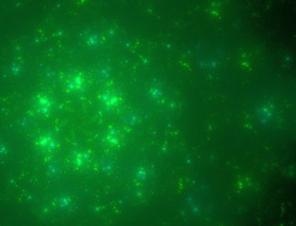 Similar image 22077856