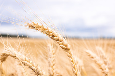 Similar image 22079033