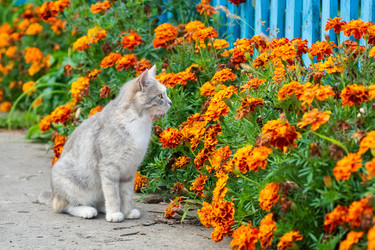 Similar image 22079039