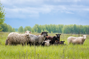 Similar image 22079364