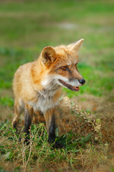 Similar image 22079365