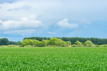 Similar image 22079366