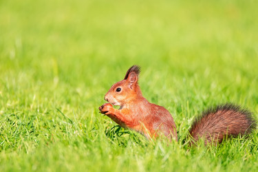 Similar image 22079369