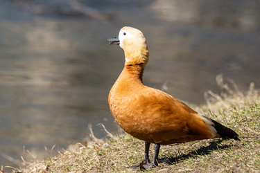 Similar image 22079374