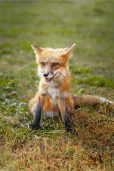 Similar image 22079381