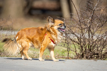 Similar image 22079392