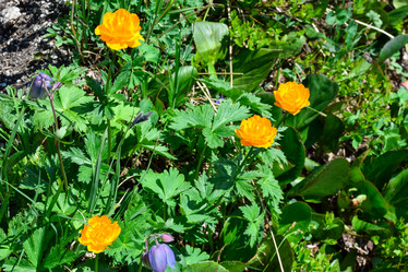 Similar image 22078253