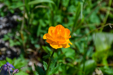 Similar image 22078255