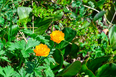 Similar image 22078256