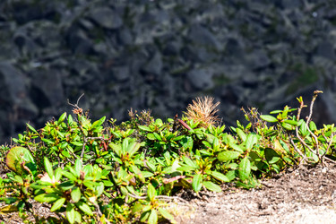 Similar image 22078265