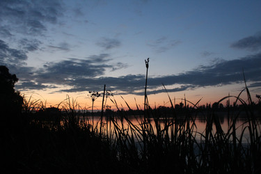 Similar image 22081065