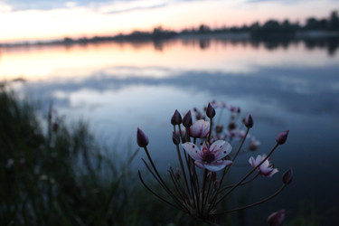 Similar image 22081068