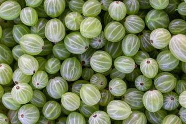 Similar image 22079626