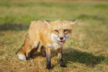 Similar image 22079628