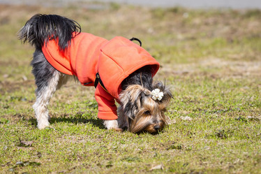 Similar image 22079629