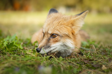 Similar image 22079636