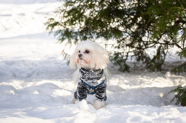 Similar image 22079645