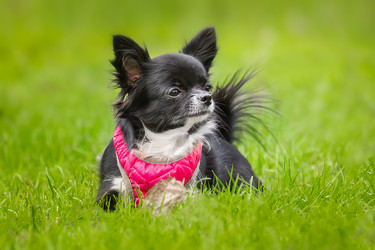 Similar image 22079822