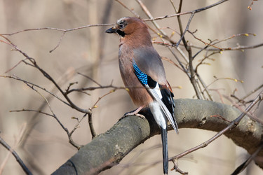 Similar image 22082136