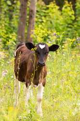 Similar image 22078679