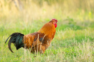 Similar image 22078782