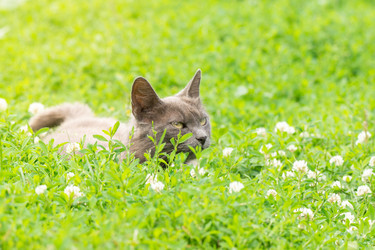 Similar image 22078917