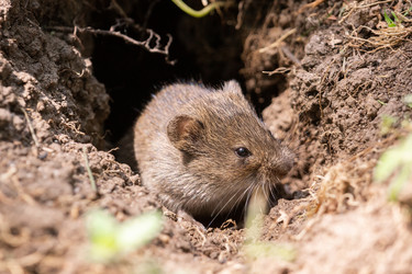 Similar image 22079158