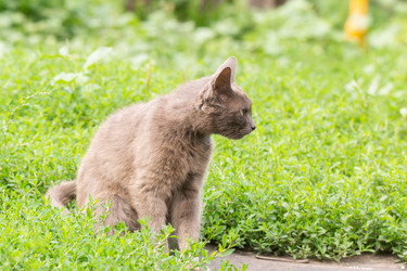 Similar image 22079393