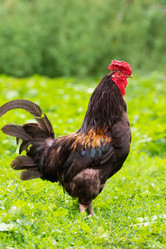 Similar image 22079401