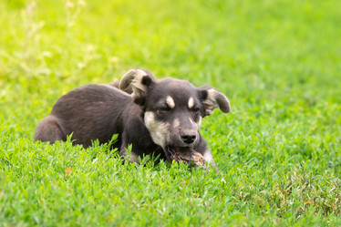 Similar image 22079403