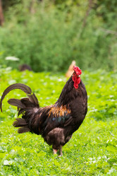 Similar image 22079407