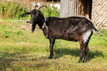 Similar image 22079408