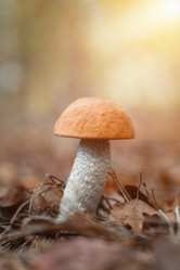 Similar image 22079410