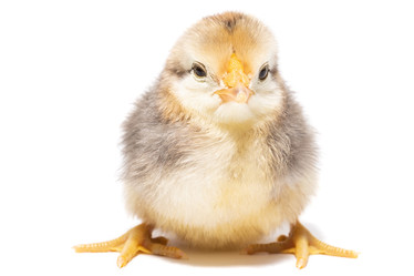 Similar image 22079414