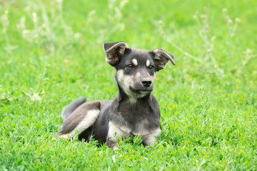 Similar image 22079423