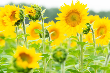 Similar image 22079429