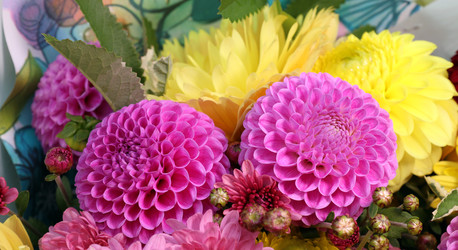 Similar image 22077192