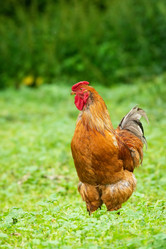 Similar image 22079508