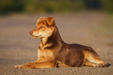 Similar image 22079650