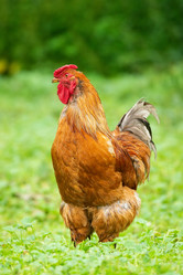 Similar image 22079654