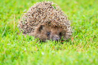 Similar image 22079662