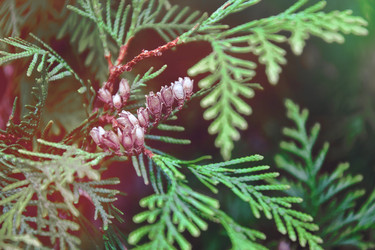 Similar image 22077667